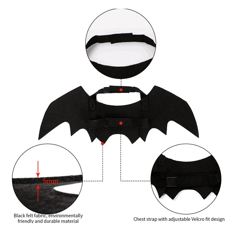 Ailes Noires pour Chat – Costume Festival - AnimaLiv