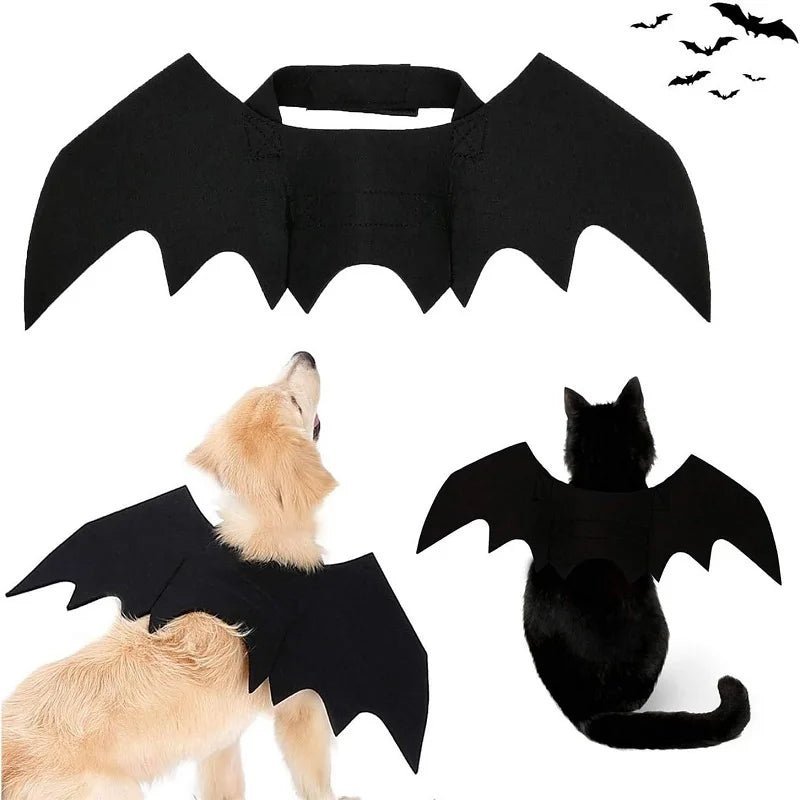 Ailes Noires pour Chat – Costume Festival - AnimaLiv