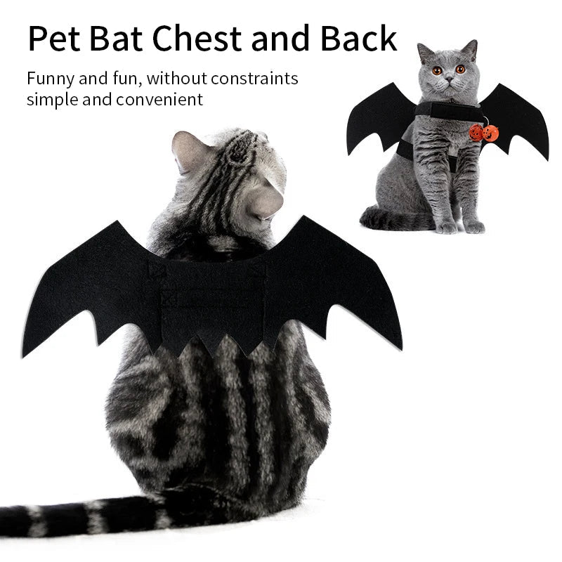 Ailes Noires pour Chat – Costume Festival - AnimaLiv