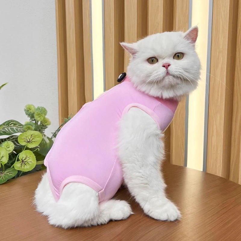 Combinaison de Récupération Post - opératoire pour Chats - AnimaLiv