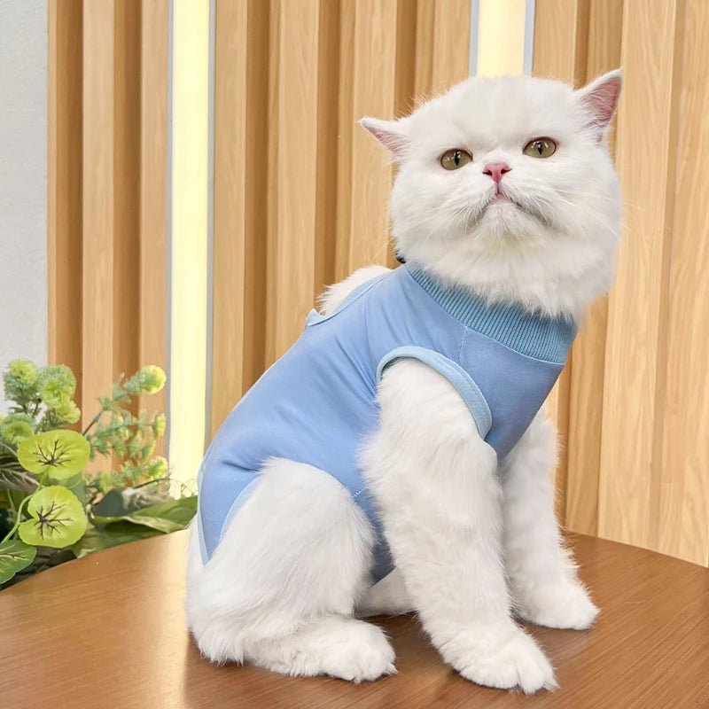 Combinaison de Récupération Post - opératoire pour Chats - AnimaLiv
