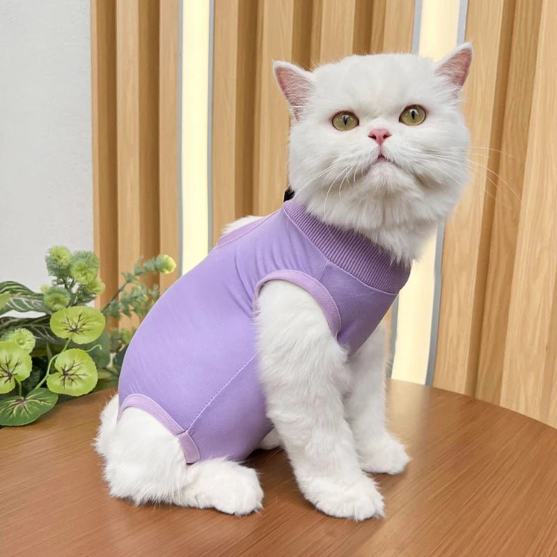 Combinaison de Récupération Post - opératoire pour Chats - AnimaLiv