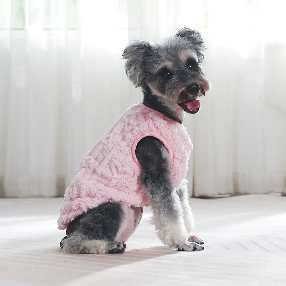 Manteau d’Hiver en Polaire pour Chat - AnimaLiv