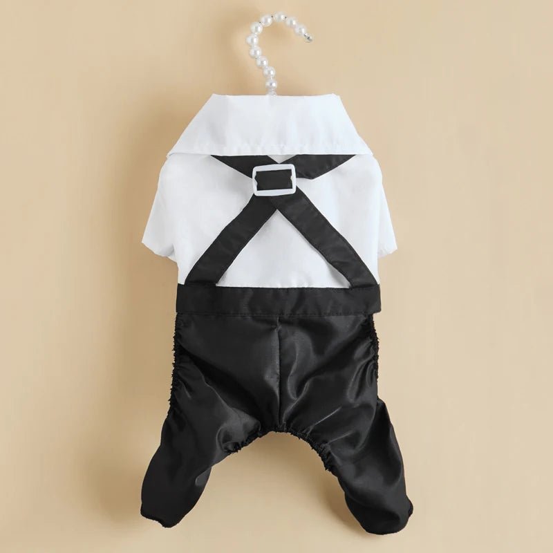 Salopette Costume Chic pour Chat - AnimaLiv