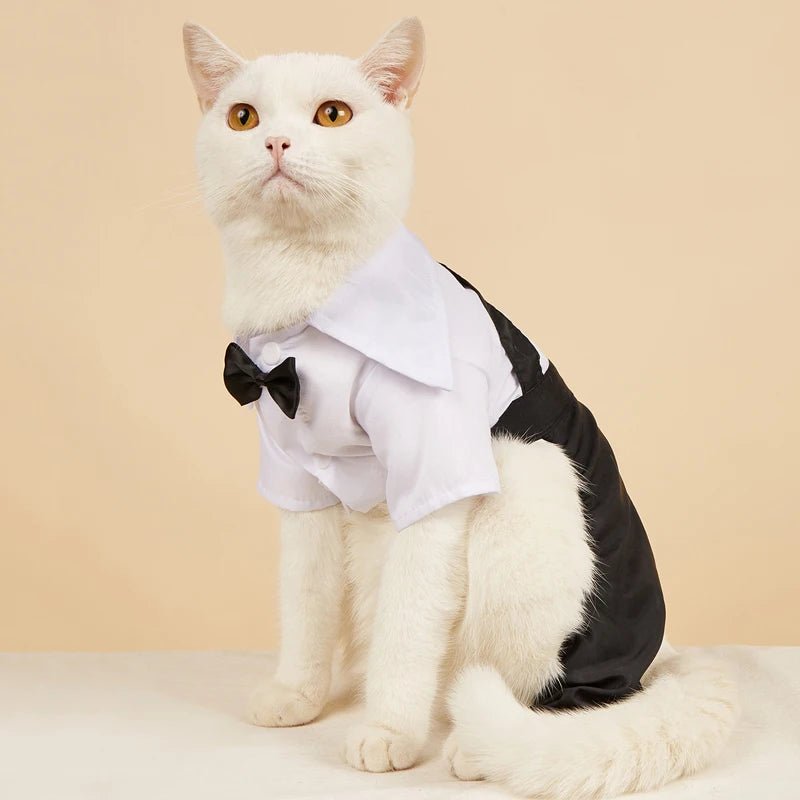 Salopette Costume Chic pour Chat - AnimaLiv