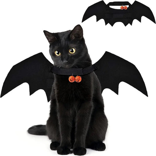 Ailes Noires pour Chat – Costume Festival - AnimaLiv