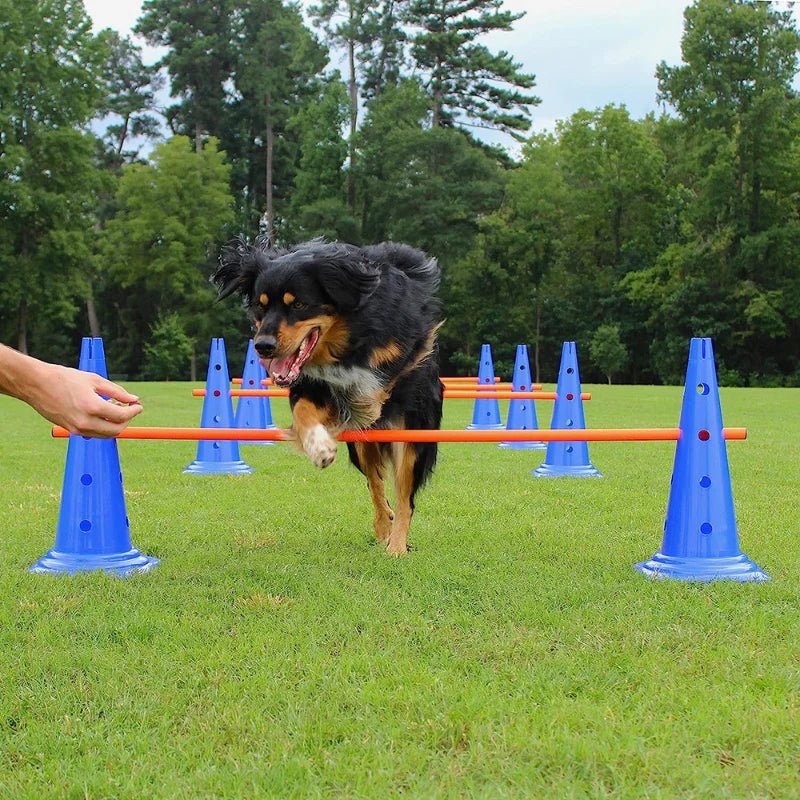 Barre de saut pour chiens - AnimaLiv