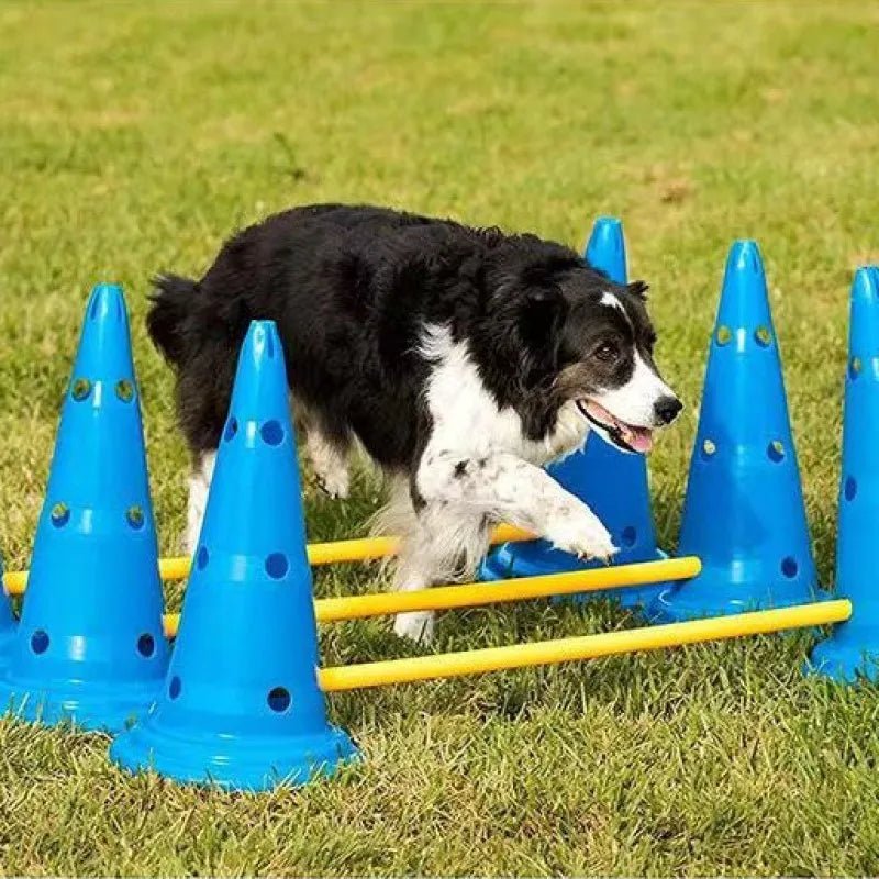 Barre de saut pour chiens - AnimaLiv
