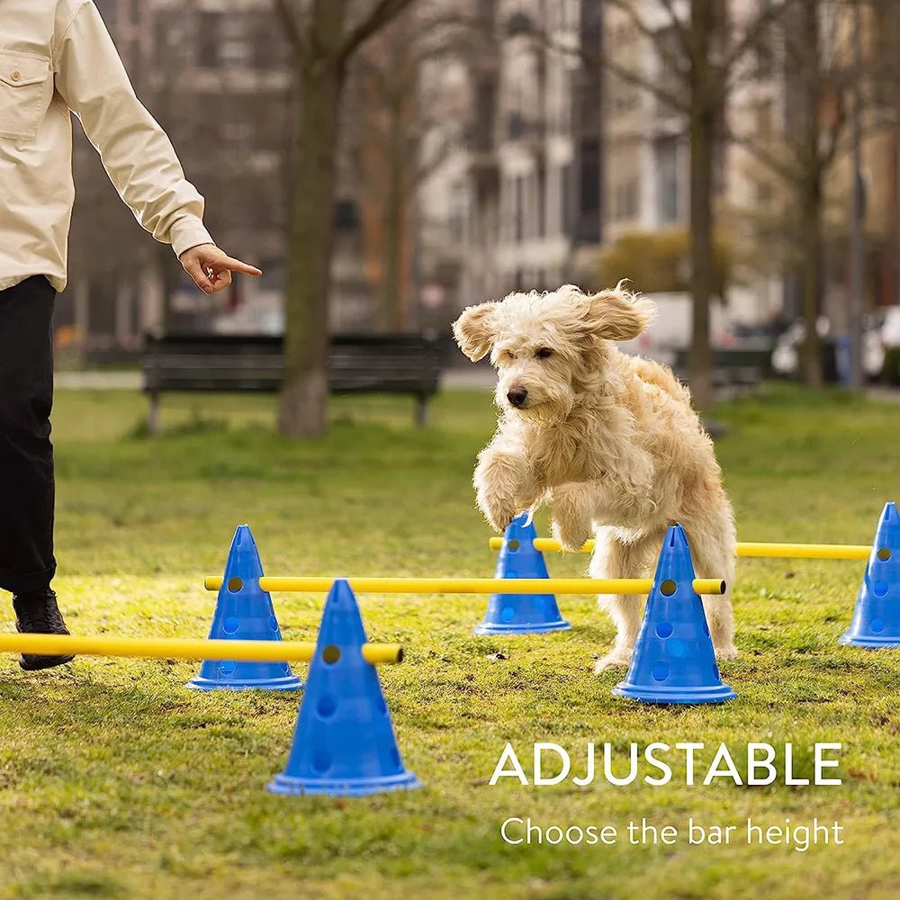 Barre de saut pour chiens - AnimaLiv