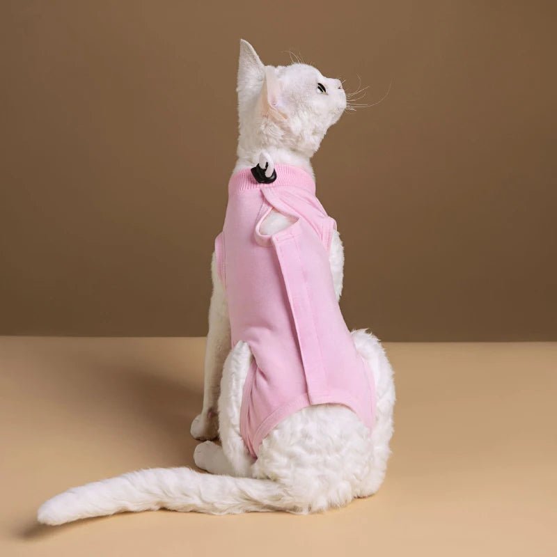 Combinaison de Récupération Post - opératoire pour Chats - AnimaLiv