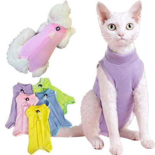 Combinaison de Récupération Post - opératoire pour Chats - AnimaLiv