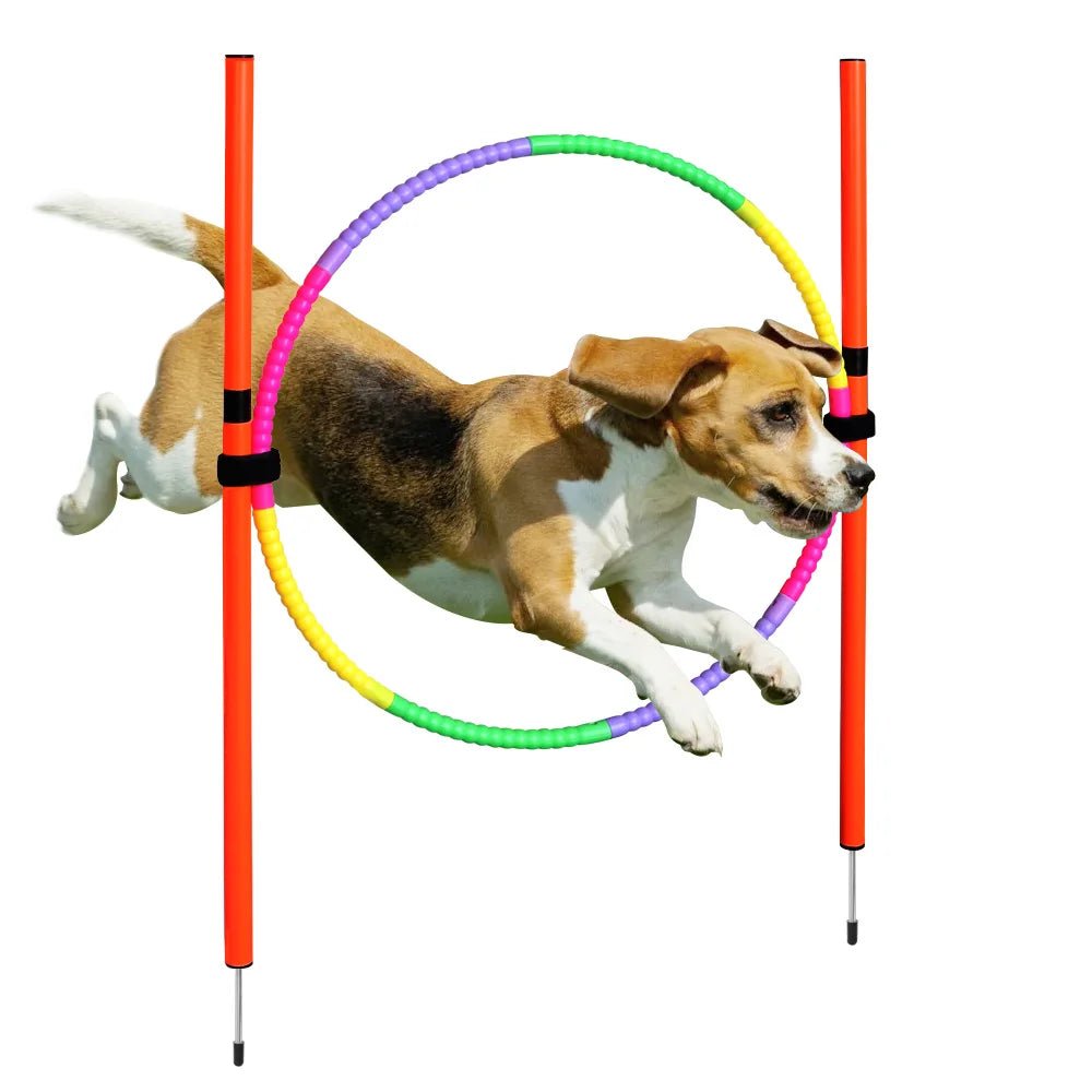 Obstacles d’Agility pour Chien - AnimaLiv