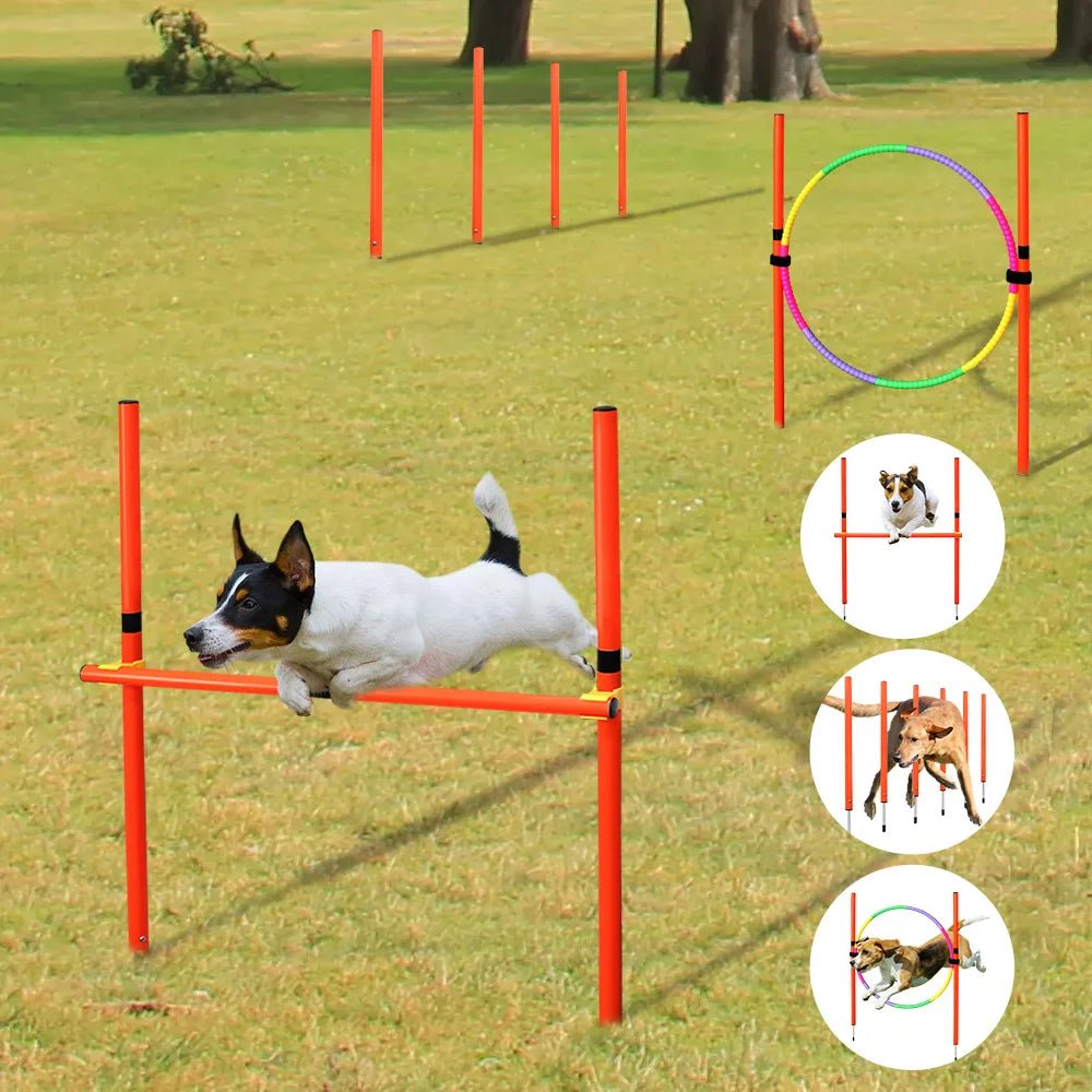 Obstacles d’Agility pour Chien - AnimaLiv