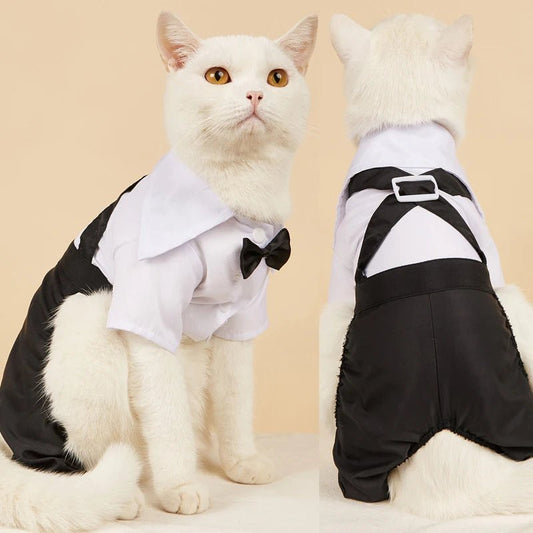 Salopette Costume Chic pour Chat - AnimaLiv
