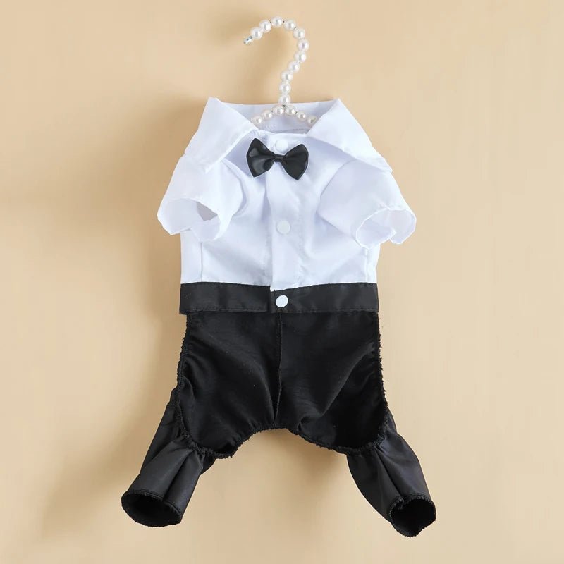 Salopette Costume Chic pour Chat - AnimaLiv